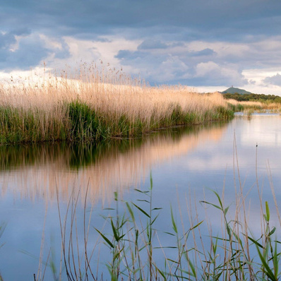 The Nature Reserves