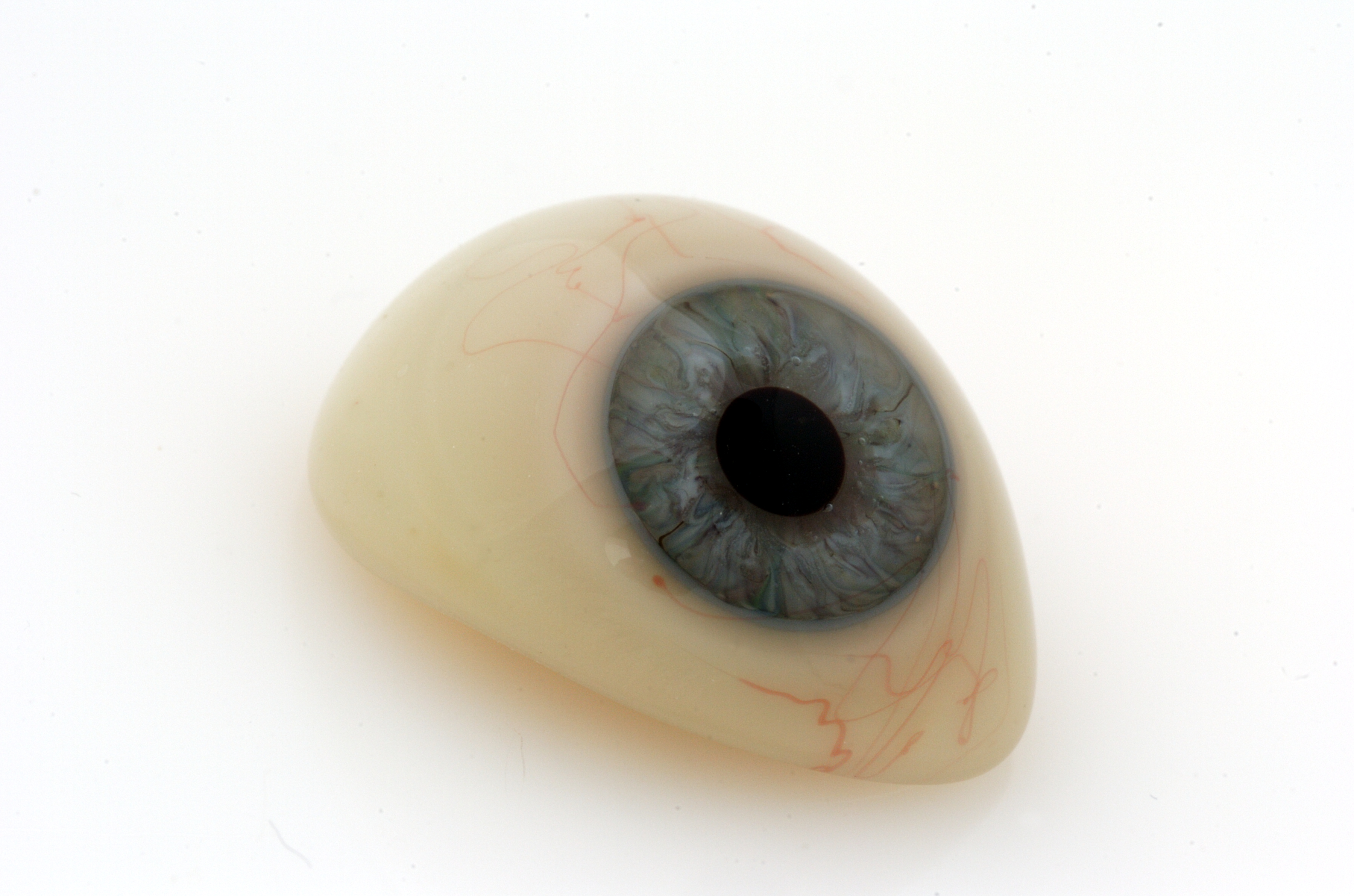 An artificial eye.