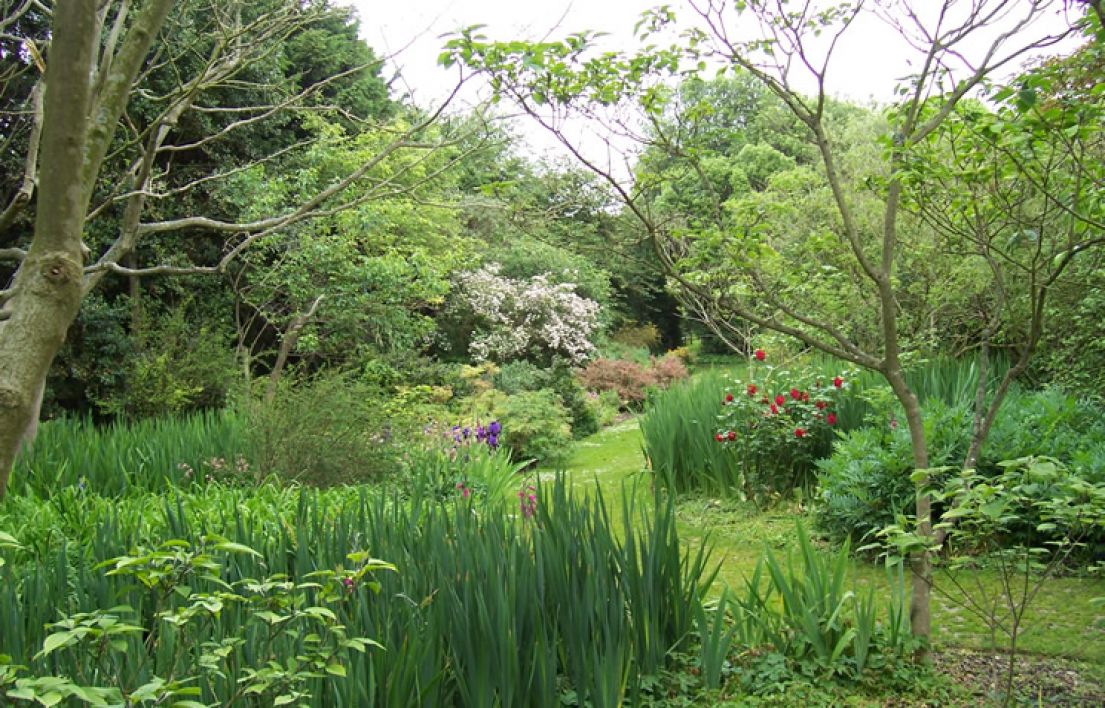 A lush garden, with flowers in bloom.